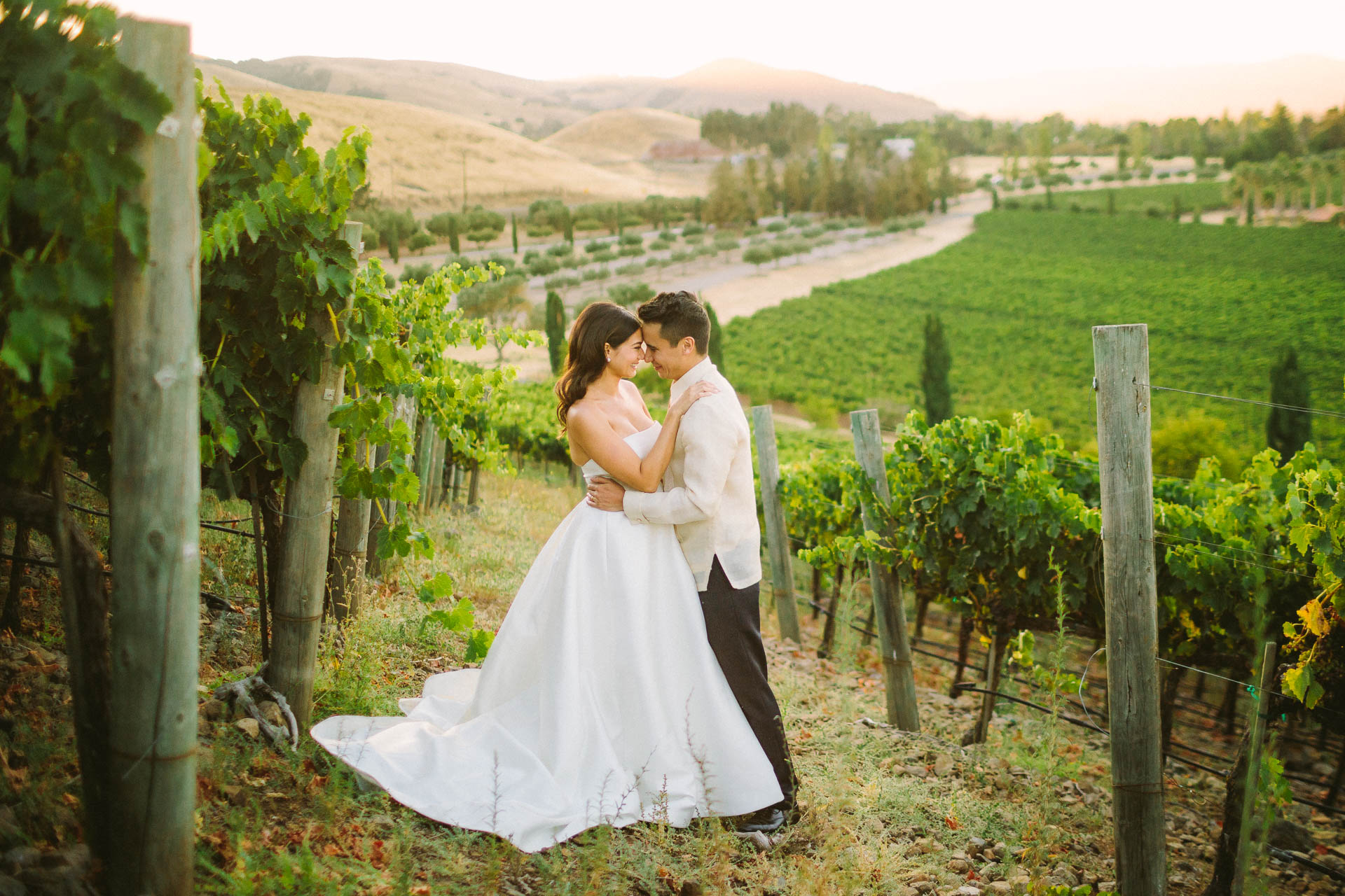 Wedding Photography at Viansa Winery Sonoma Valley